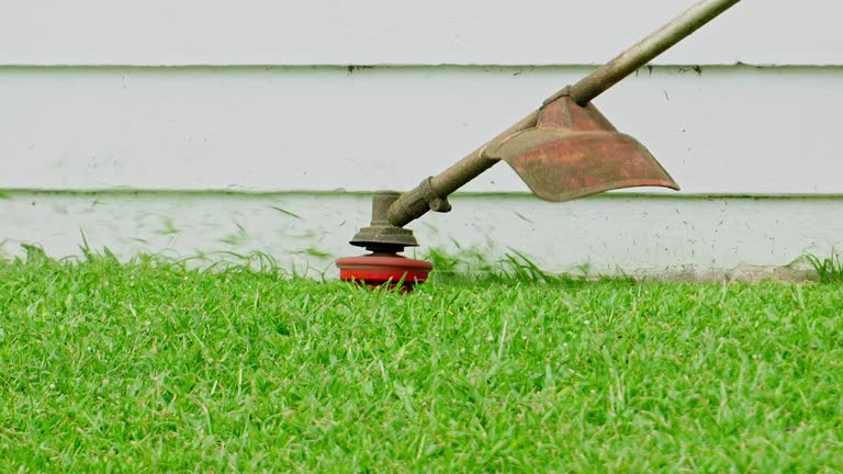 Lawn Grading and Leveling in Amery, WI
